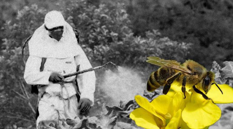 Pesticidas tóxicos